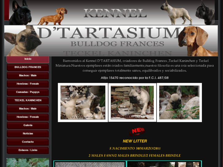 www.detartasium.com