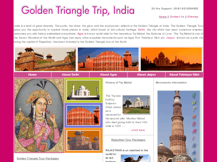 www.goldentriangletripindia.com