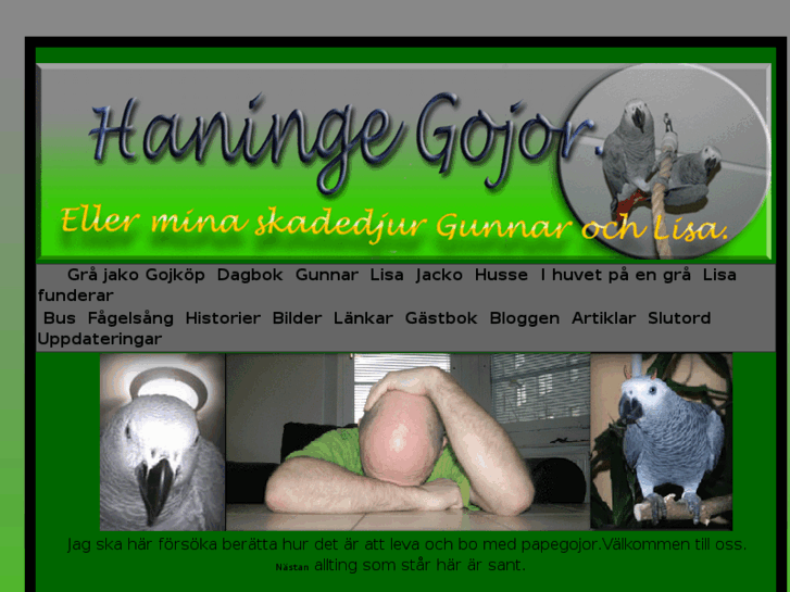 www.haningegojor.se