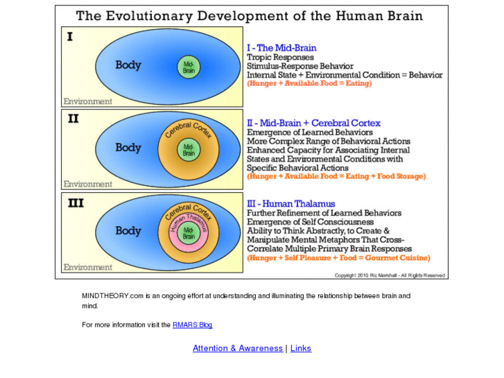 www.mindtheory.com