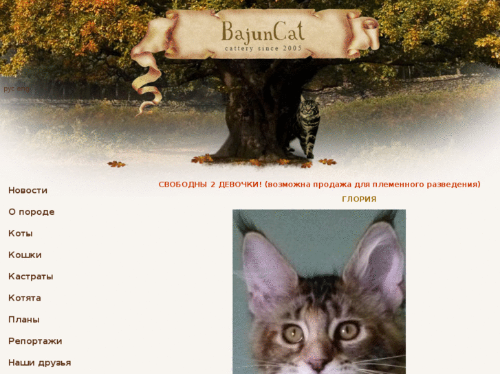 www.bajuncat.ru