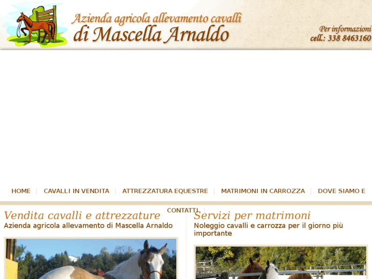 www.cavallimaiolo.it