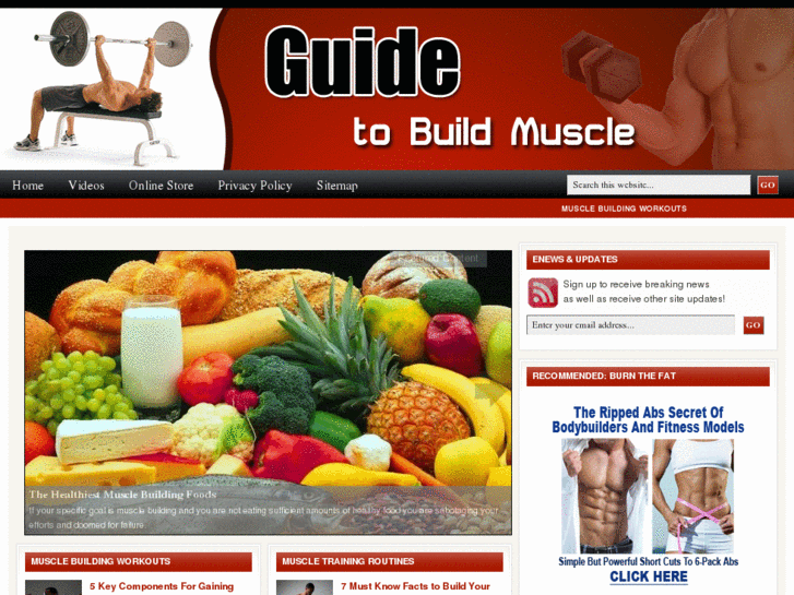 www.guidetobuildmuscle.com