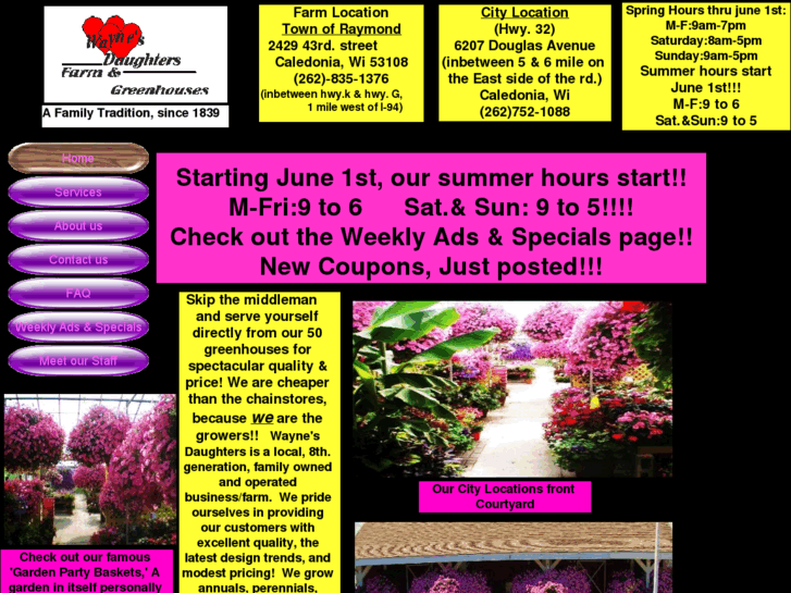 www.waynesdaughtersgreenhouses.com