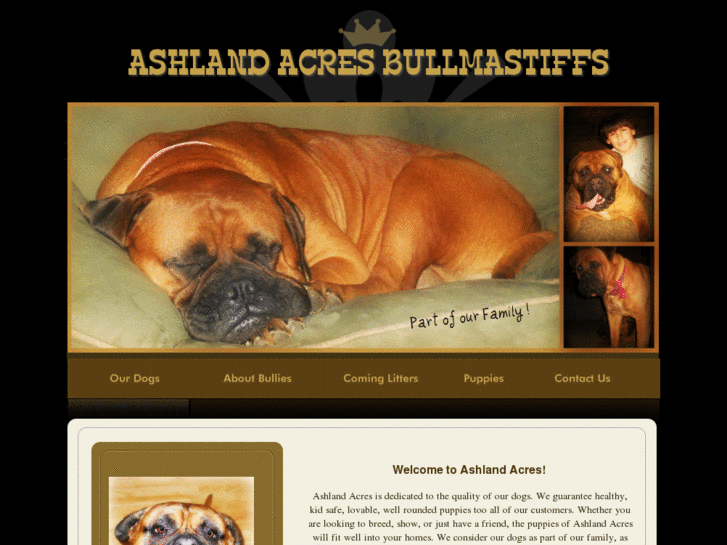 www.ashlandacresmastiffs.com