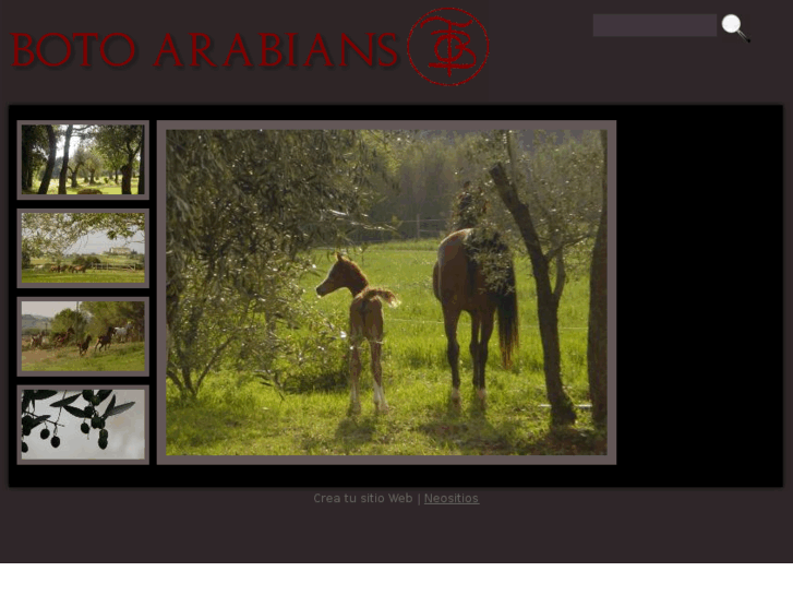 www.botoarabians.com