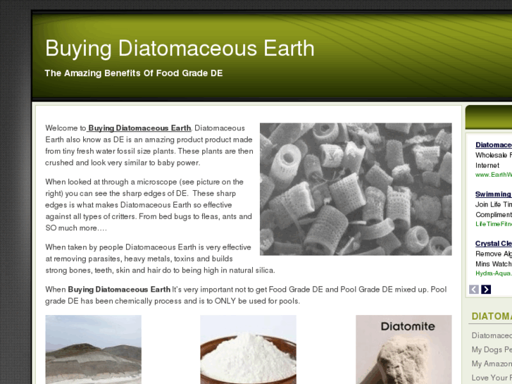 www.buyingdiatomaceousearth.com