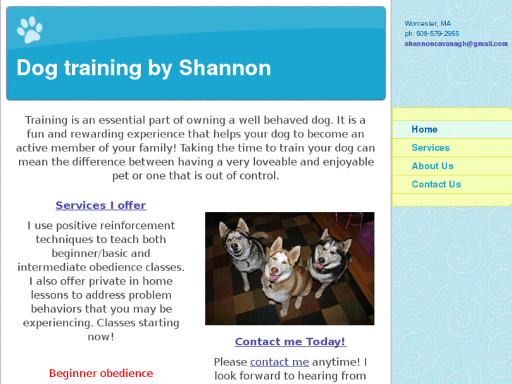 www.dogtrainingbyshannon.com