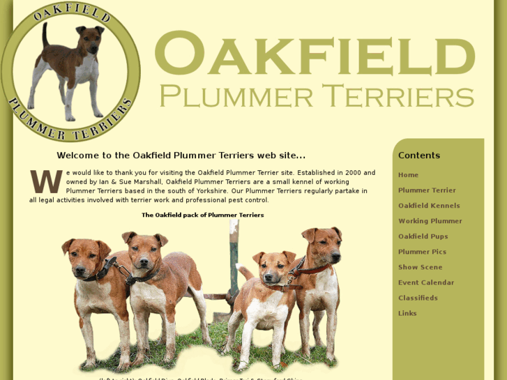 www.oakfieldplummerterriers.com