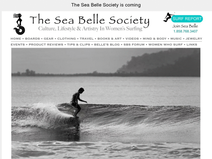 www.seabellesociety.com