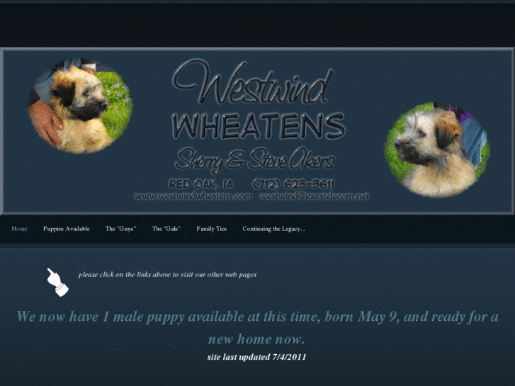 www.westwindwheatens.com