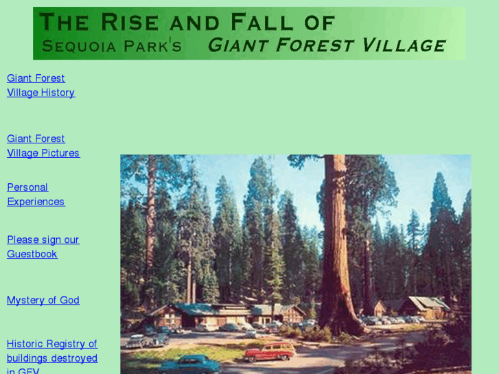 www.giantforestvillage.com