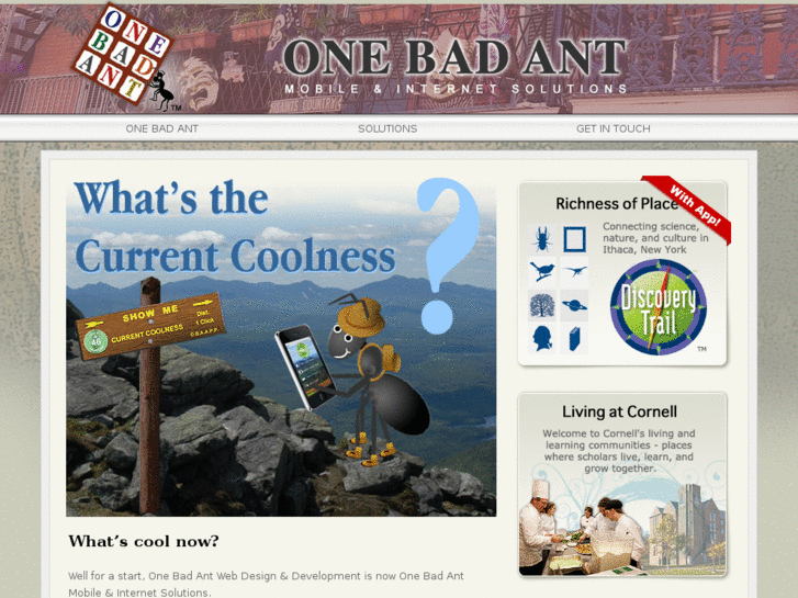 www.onebadant.com