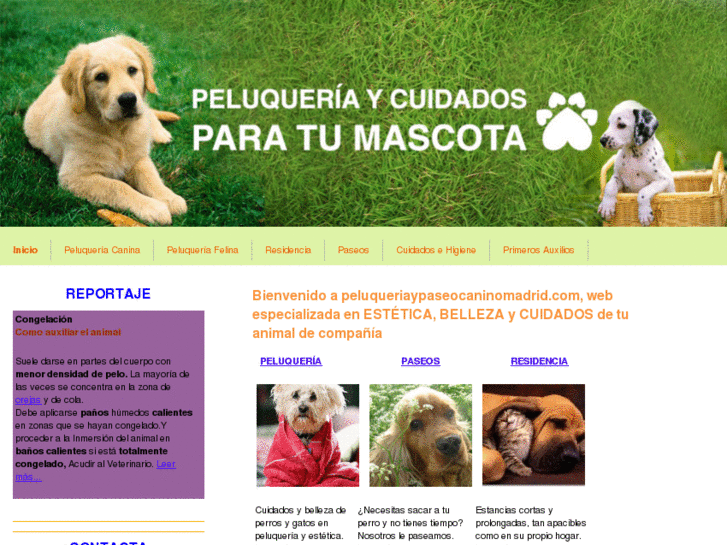 www.peluqueriaypaseocaninomadrid.com