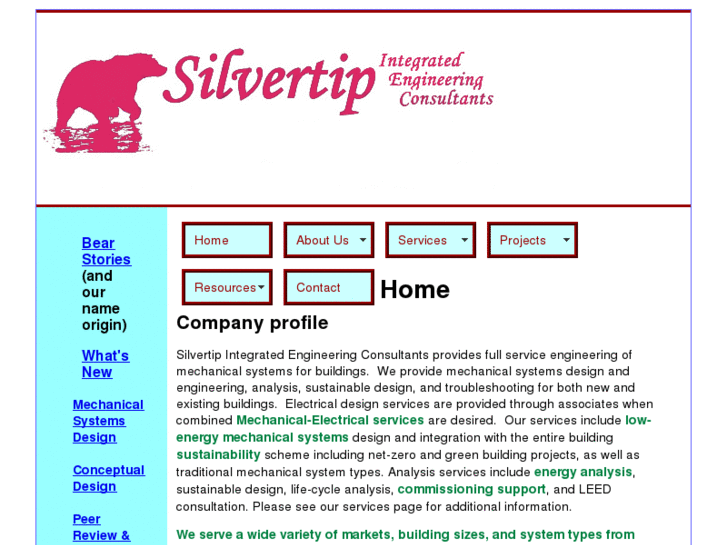 www.silvertipconsultants.com