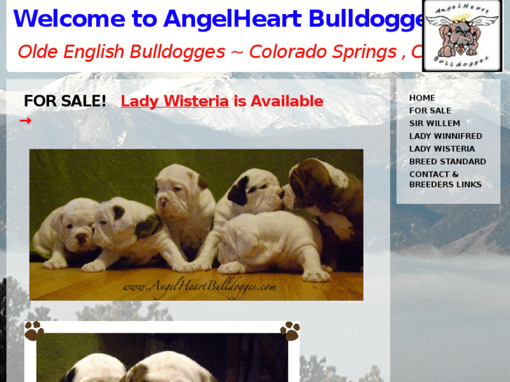 www.angelheartbulldogges.com