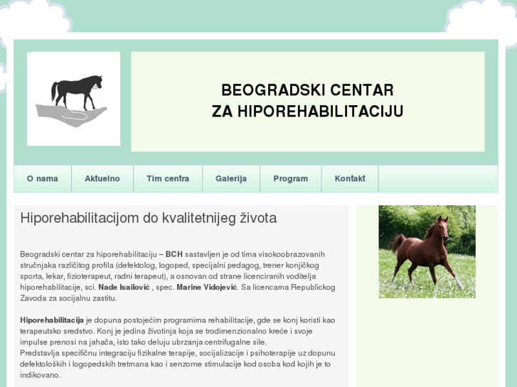 www.bgdhiporehabilitacija.org.rs