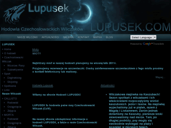 www.lupusek.com