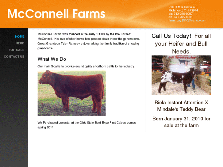 www.mcconnellshorthorns.com