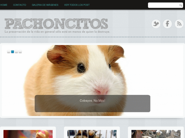 www.pachoncitos.com