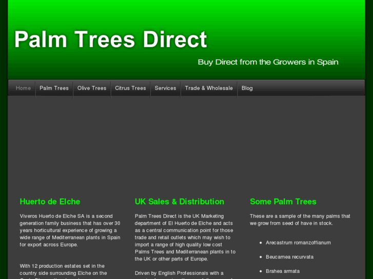 www.palmtreesdirect.co.uk