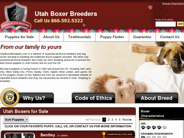 www.utahboxerbreeders.com