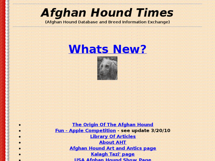 www.afghanhoundtimes.com