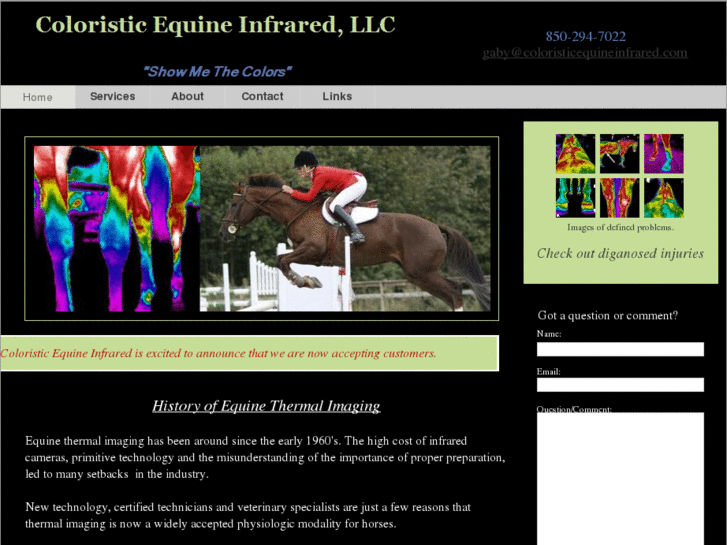 www.coloristicequineinfrared.com