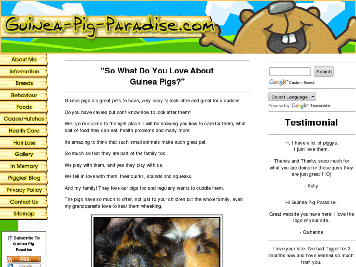 www.guinea-pig-paradise.com