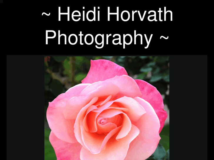 www.heidihorvathphotography.com