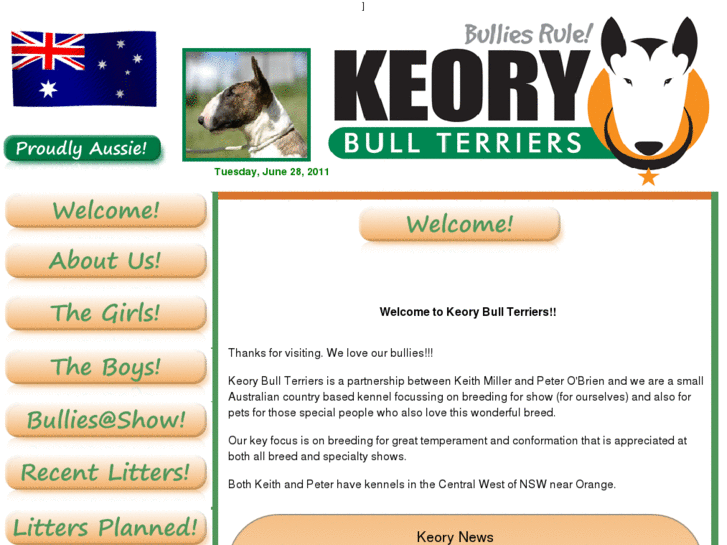 www.keorybullterriers.com