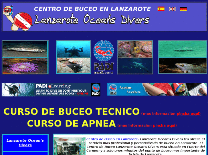 www.lanzaroteoceansdivers.com