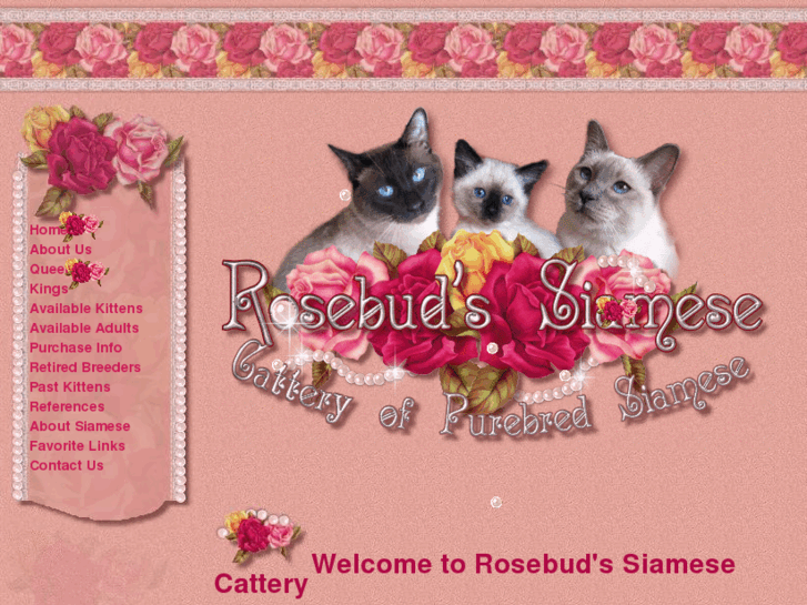 www.rosebudssiamese.com
