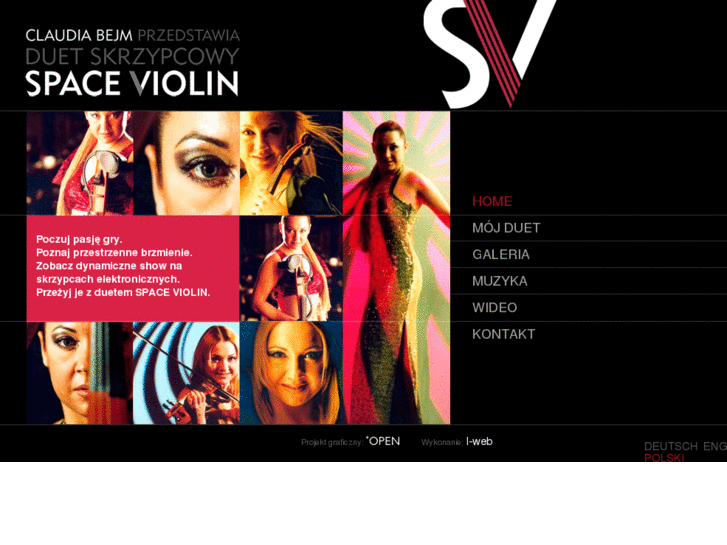 www.spaceviolins.com