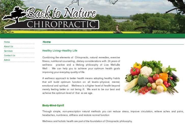 www.backtonaturechiropractic.com