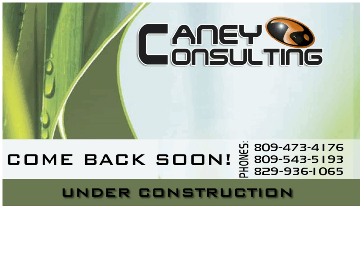 www.caneyconsulting.net
