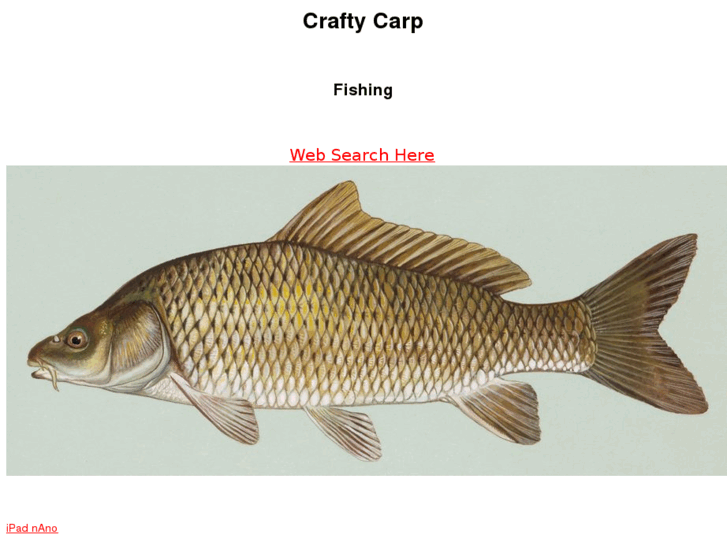 www.craftycarp.com