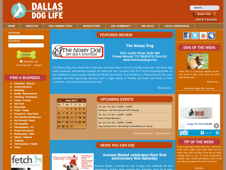 www.dallasdoglife.com