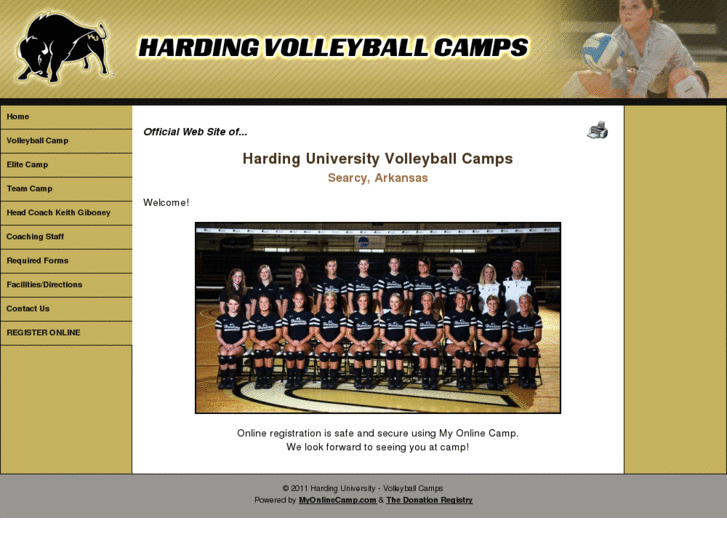 www.hardingvolleyballcamps.com