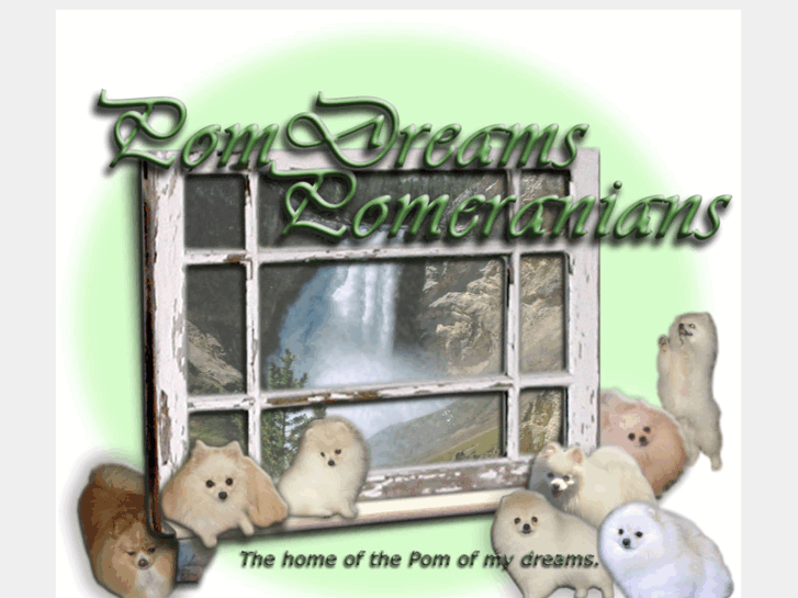 www.pomdreamspomeranians.com