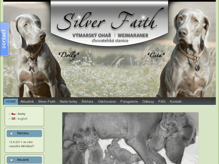 www.silver-faith.com