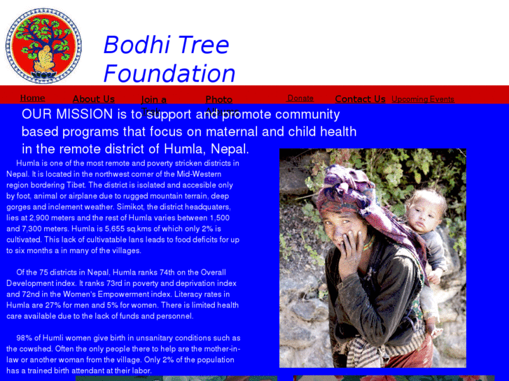 www.bodhitreefoundation.org