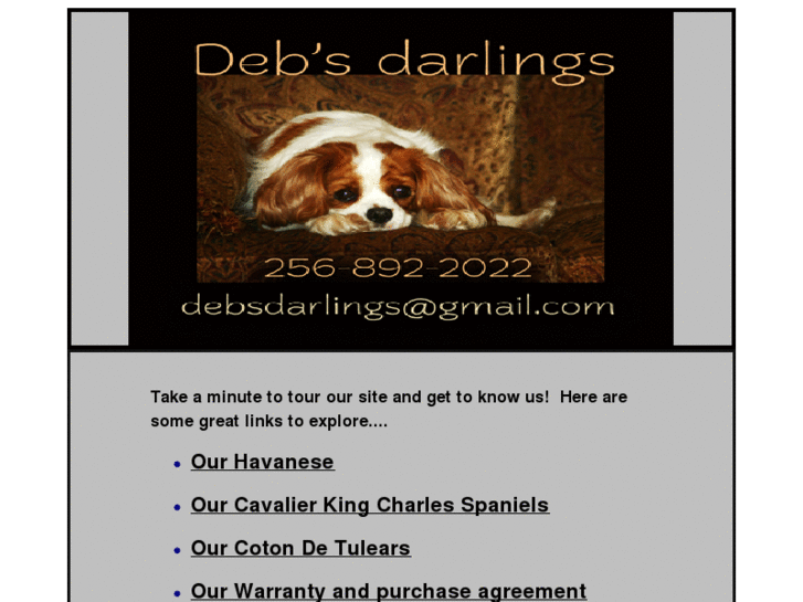 www.debsdarlings.com