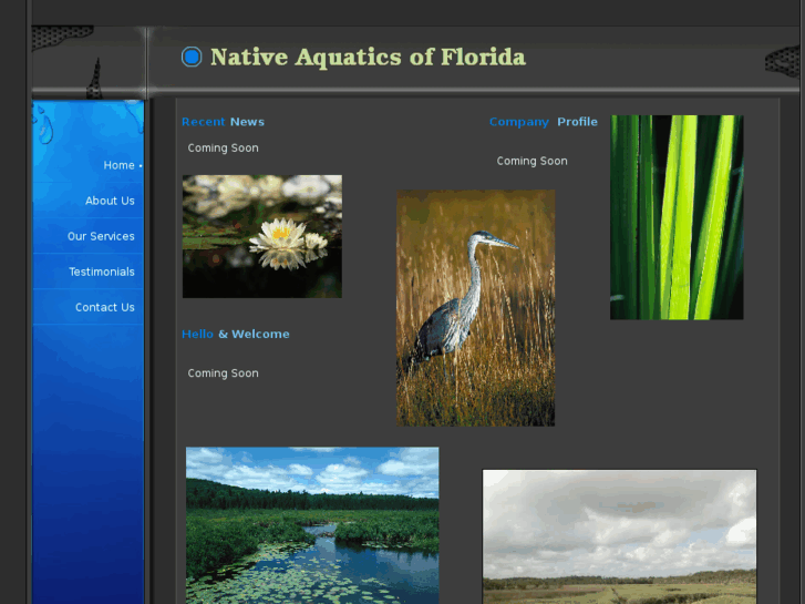 www.nativeaquatics.com