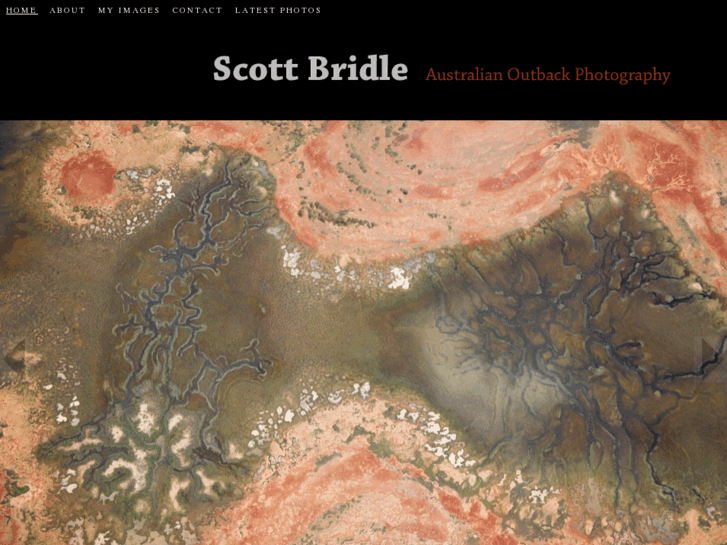 www.scottbridle.com