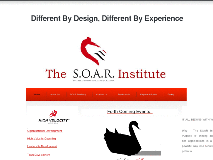 www.soarinstitute.com