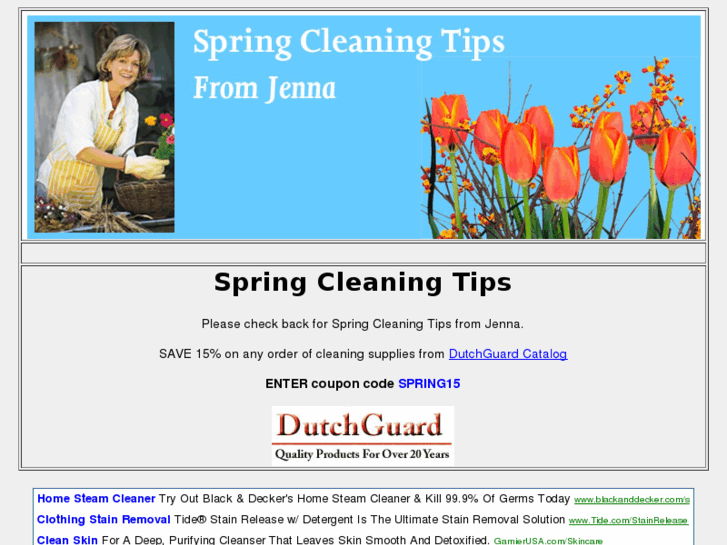 www.springcleaningtip.com