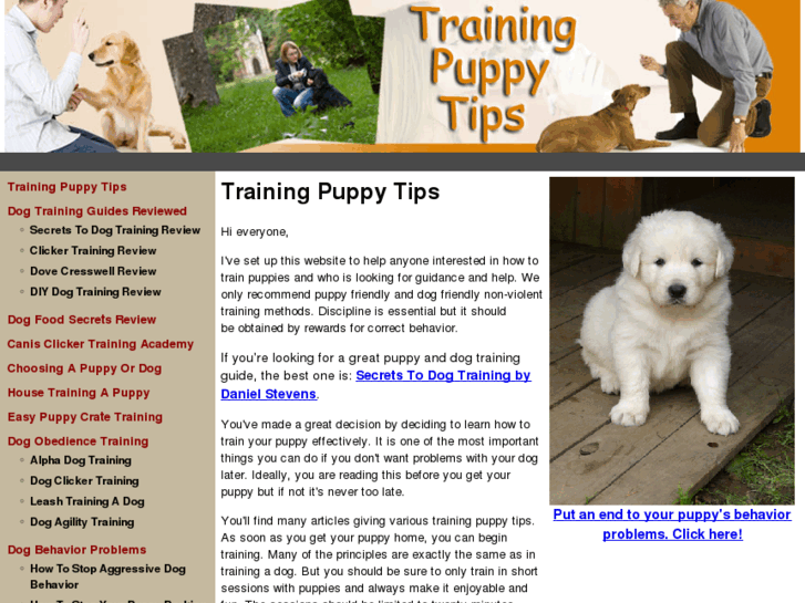 www.trainingpuppytips.com