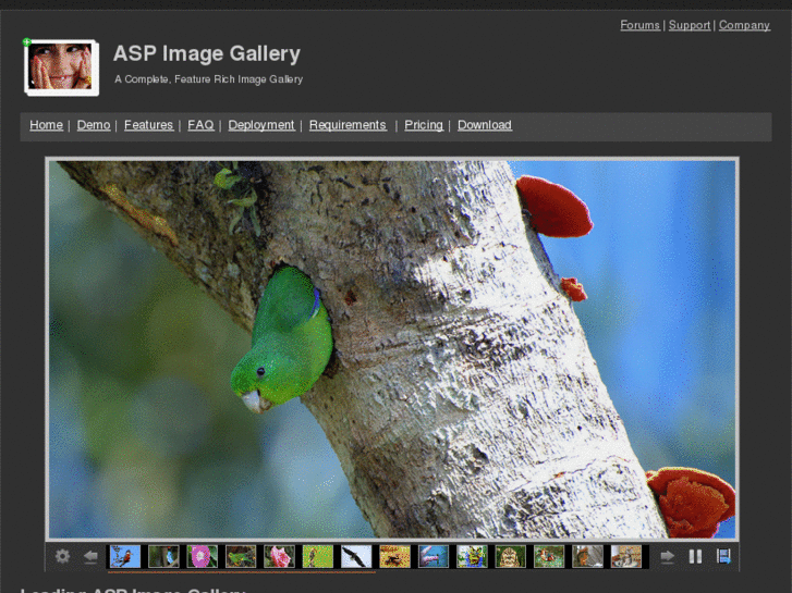 www.aspimagegallery.com