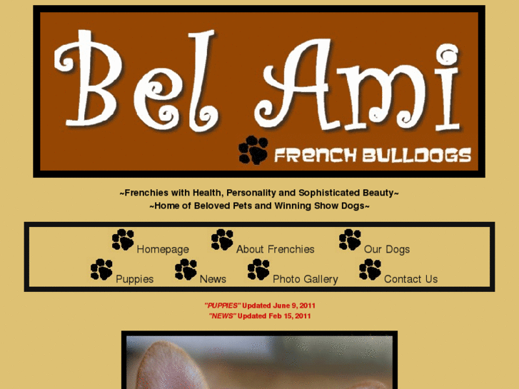 www.belamifrenchbulldogs.com